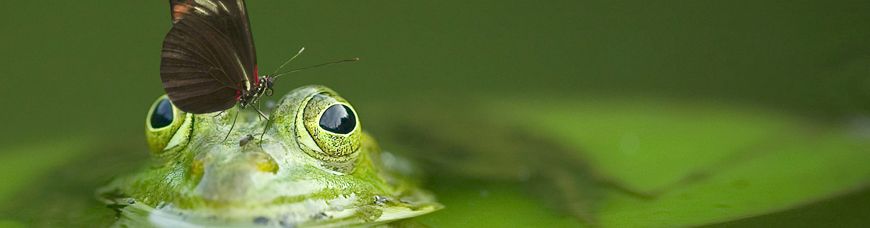 Abwasser entsorgen - Umwelt schützen 