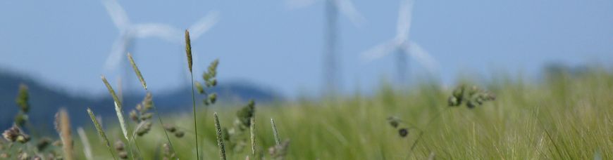 Wir setzen auf Erneuerbare