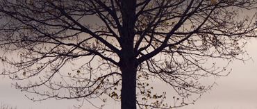 Ehemaliger Geschäftsführer Wolfgang Weber verstorben